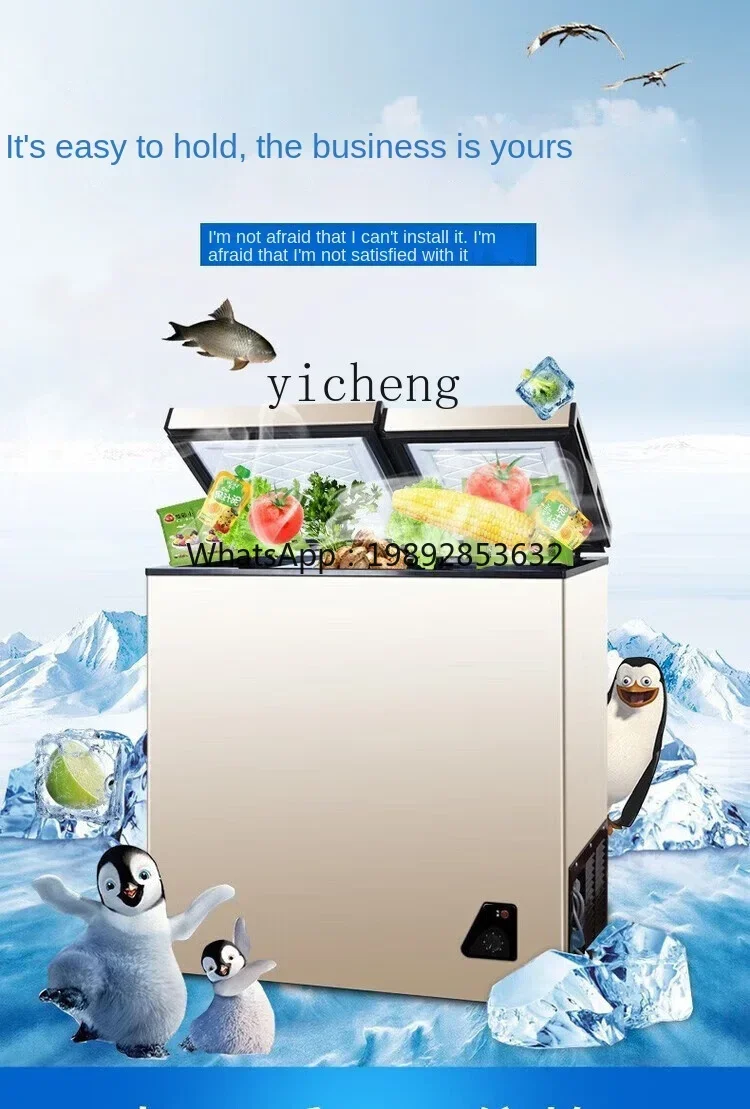 Food Storage Temperature - Refrigerador Doméstico Compacto com Congelador, Econômico,