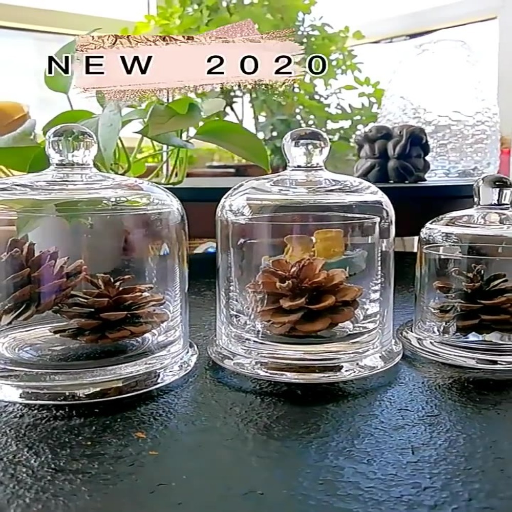 Food Storage Plant - Pote de Vidro para Armazenamento, Flor