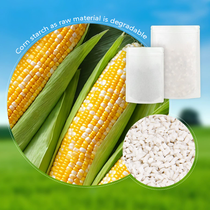 Sacos de papel kraft degradáve - Food Storage Plant avaliação e preço